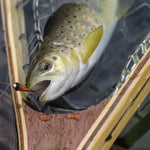 Landing fish net - fly fishing equipment