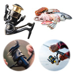 Metal Fishing Wheel 5.2/1 Spinning Reel