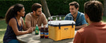 20 Quart Camp Cooler