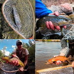 Landing Fish Net Fishing