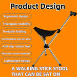 2-in-1 Folding Cane and Chair Foldable