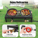 Portable Double Burner Outdoor Gas Stove