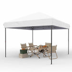 10x10 FT Pop Up Canopy Tent