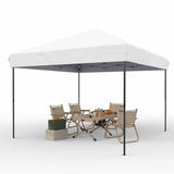 10x10 FT Pop Up Canopy Tent