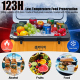 20 Quart Camp Cooler