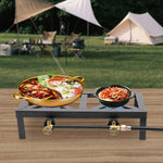 Portable Double Burner Outdoor Gas Stove