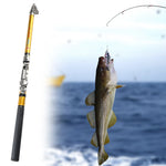 Carbon Telescopic Fishing Rod