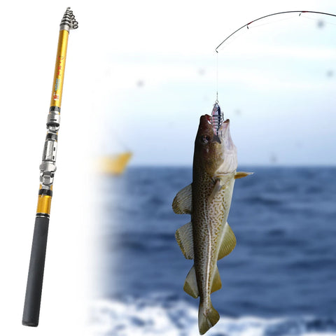 Carbon Telescopic Fishing Rod